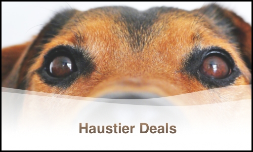 Haustier Deals