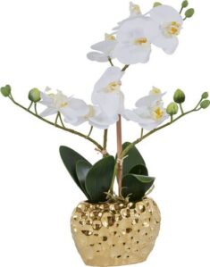 Otto Deal des Tages künstliche Orchidee