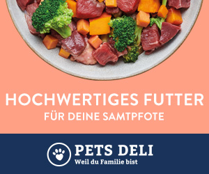 img220118_pd_awin_generic_banner_bowl_cat_300x250-1642609896673