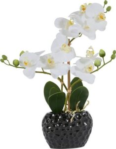 Otto Deal des Tages – 38 cm Kunstorchidee im Topf