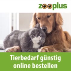 deal 2022-07-03 um 08.49.28