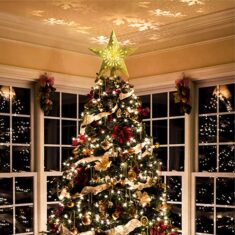 GEEDIAR LED Weihnachtsbaum Spitze