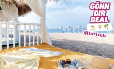 deal 2022-08-18 um 10.30.35