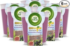 Air Wick Wohlfühl-Duftkerze im Glas – Duft- Brombeerblüte und Wildfeige – Enthält natürliche ätherische Öle – 6 x Duftkerze