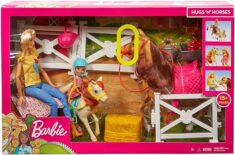 Barbie Reitspaß Spielset (GLL70)