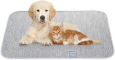 Rywell waschbare Hundematte für kleine Hunde (45 x 60 cm) – Grau