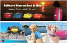 deal 2022-09-12 um 06.25.57