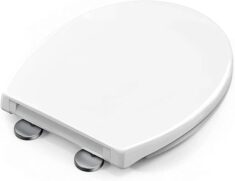 51tPpaptpXS._AC_SX569_