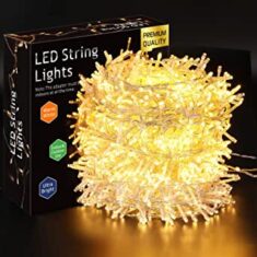 LED Lichterkette Außen mit 1.000 LEDs