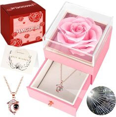 Für Valentinstag : Muttertag- Echte konservierte Rose in einer Geschenkbox mit Halskette