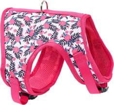 Hunde Geschirr mit 80% Rabatt