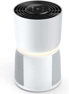 Homvana Luftreiniger für Allergiker mit H13 HEPA Filter