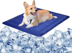 Kühlmatte für Haustiere Haustiere