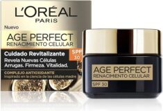 Age Perfect Zell-Renaissance Revitalisierende Tagespflege