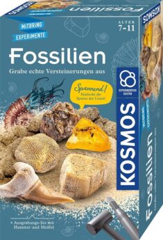 Fossilien Ausgrabungs-Set für kleine Forscher