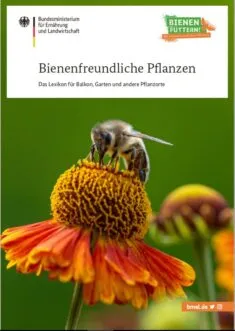 Kostenloses Lexikon- Bienenfreundliche Pflanzen für Balkon, Garten und mehr